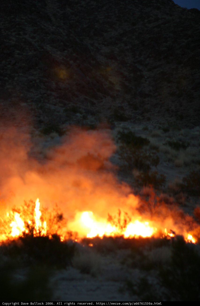 Blazing Desert Night