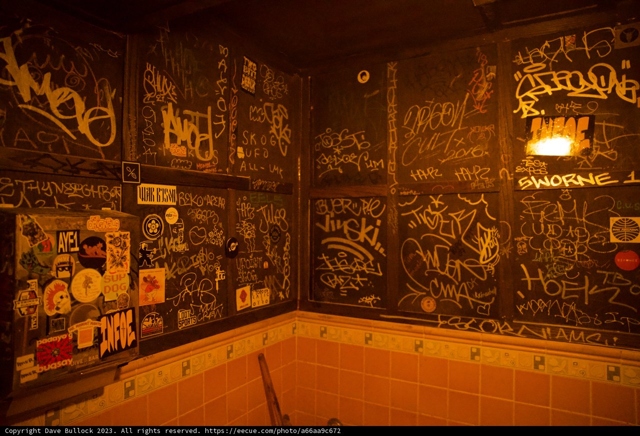 Urban Expressions: Bathroom Graffiti in Chinatown, 2023.