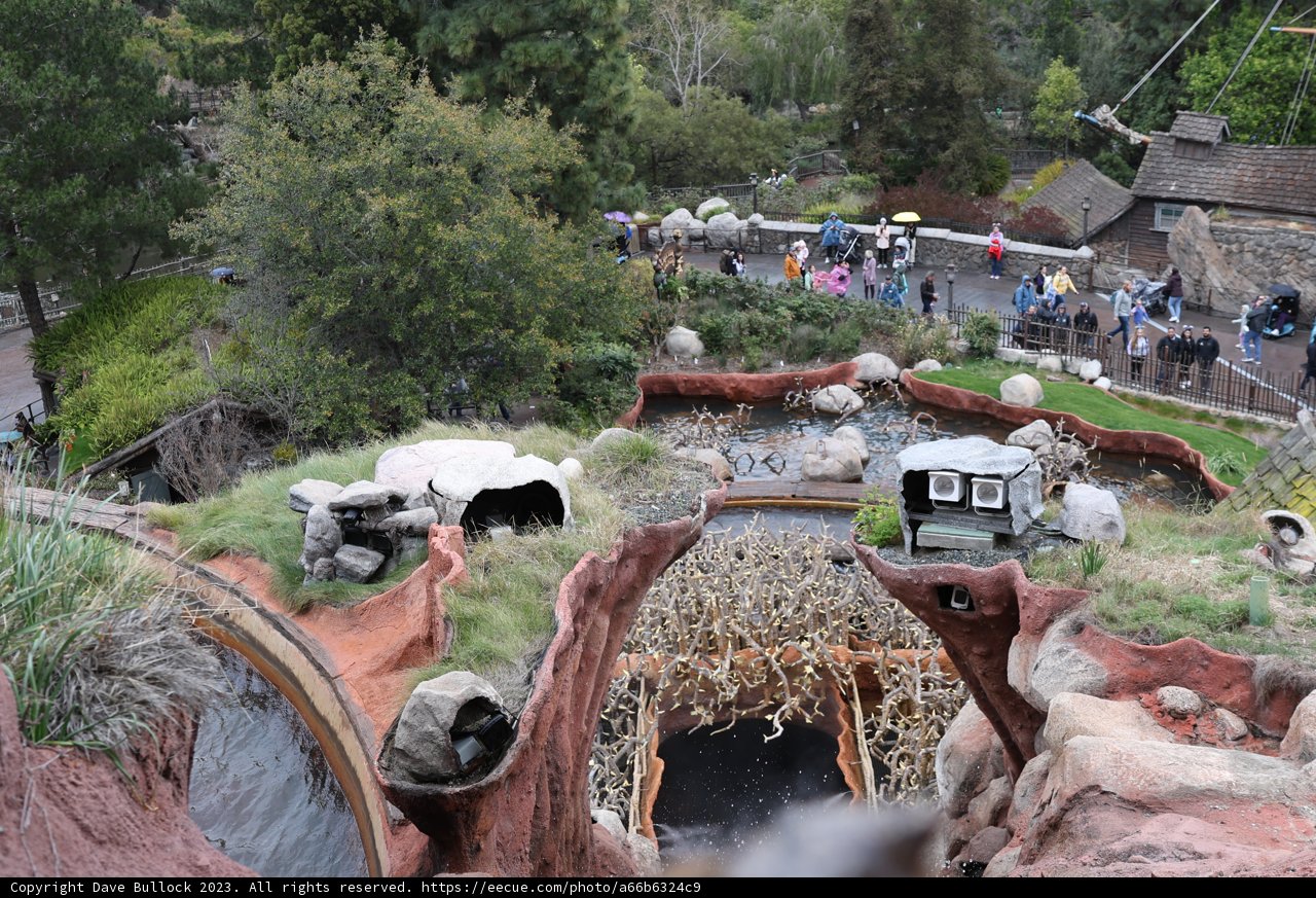 A bird's eye view of the zoo