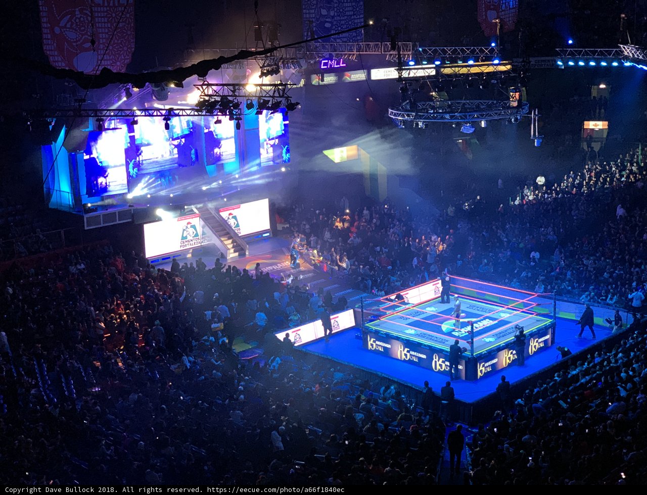 Wrestling in the Urban Jungle
