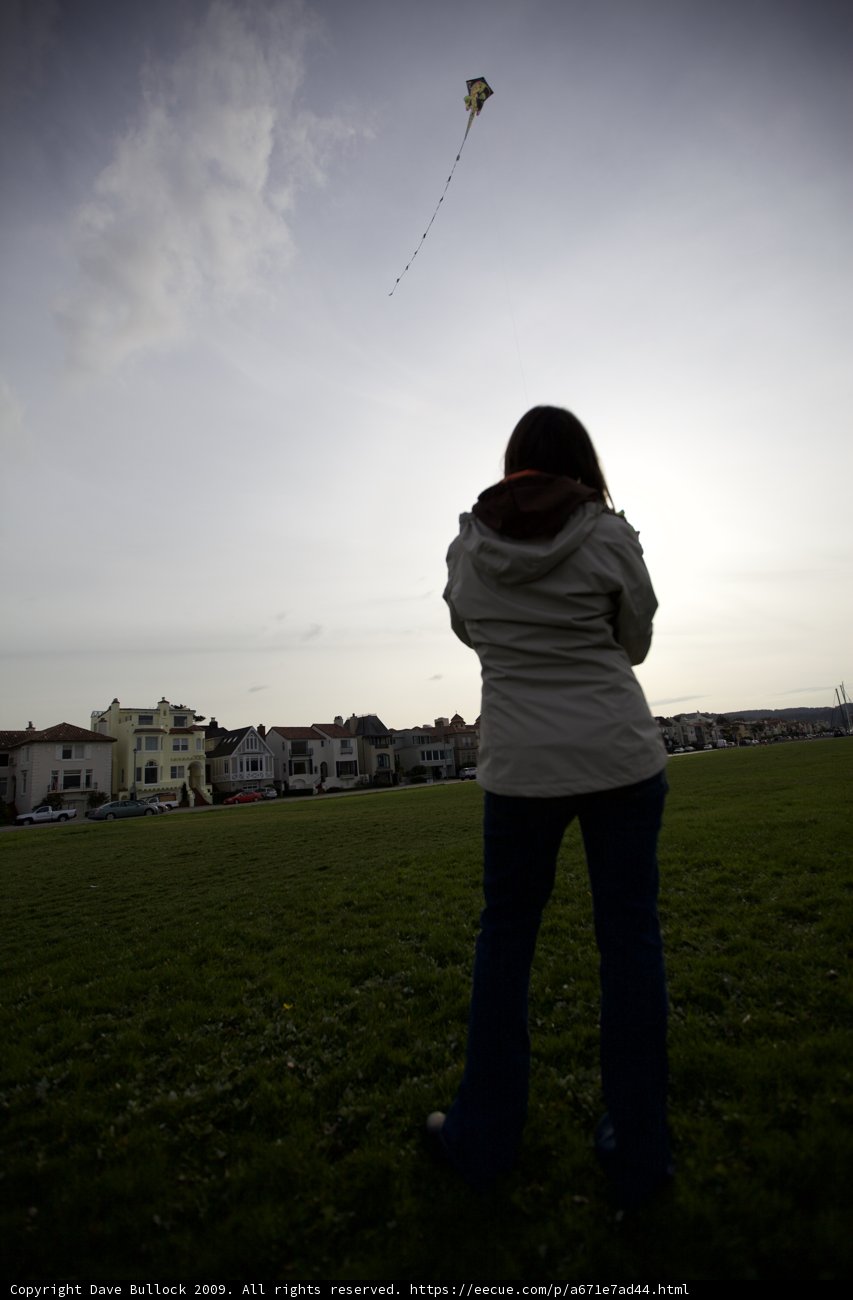 Kite Flying Fun