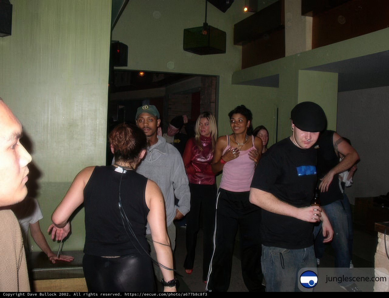 Nightclub Gathering