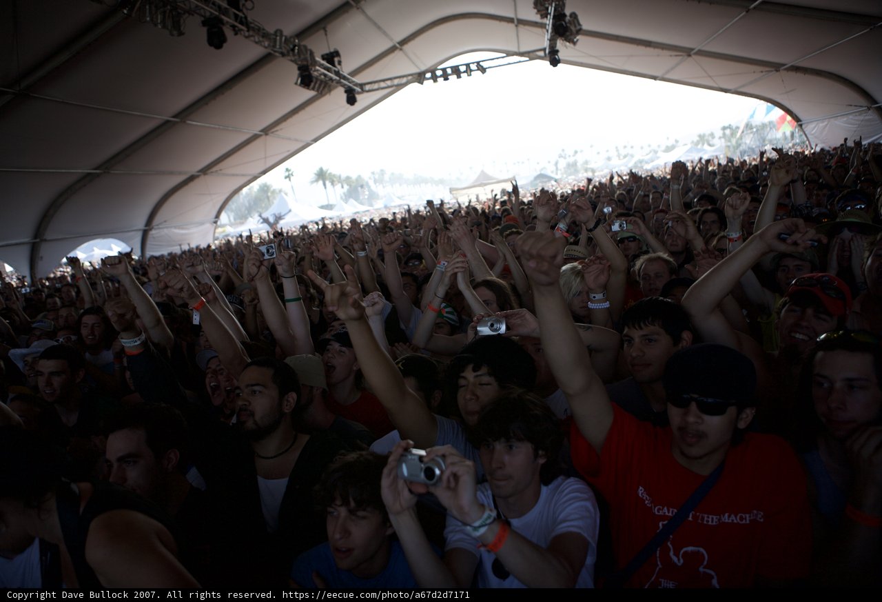 Coachella Crowd-fever