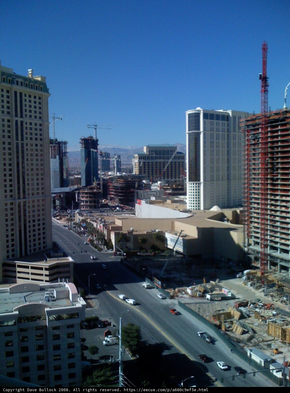 Overlooking the Urban Jungle