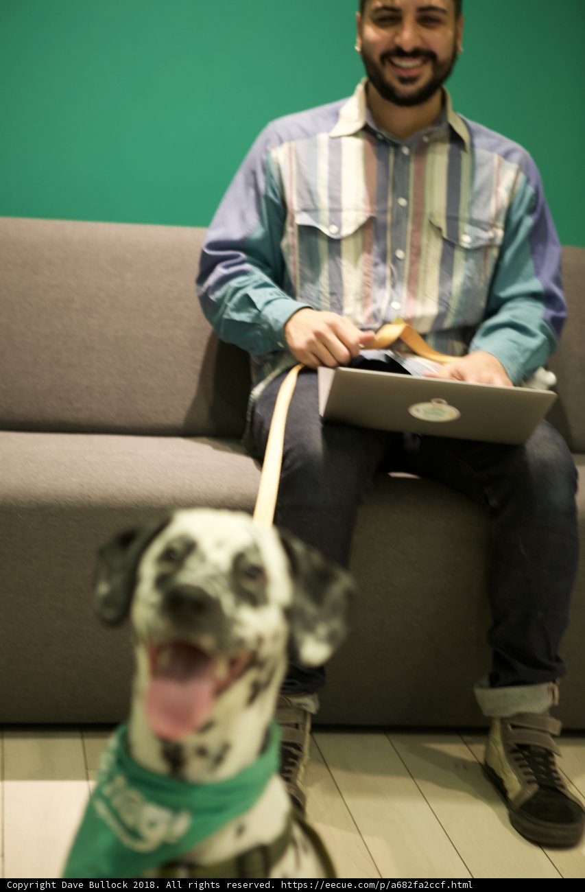 Man and His Loyal Canine Companion.