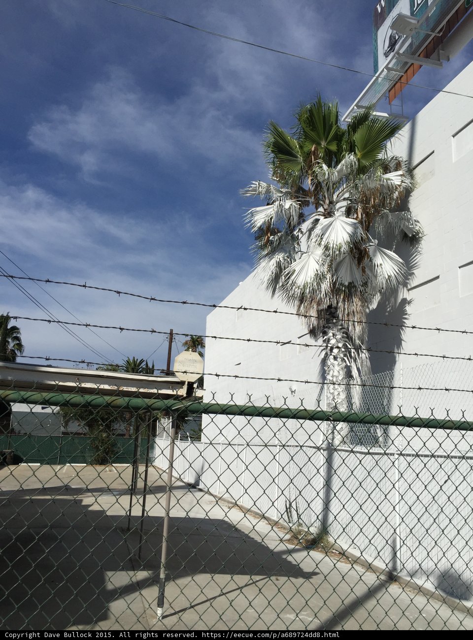 Palm Tree Security Fence