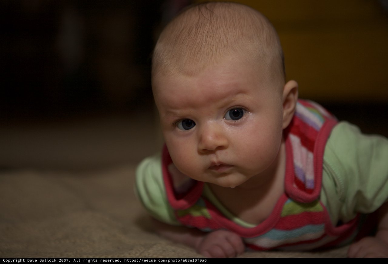 Curious Baby on Tummy Time on Carpet