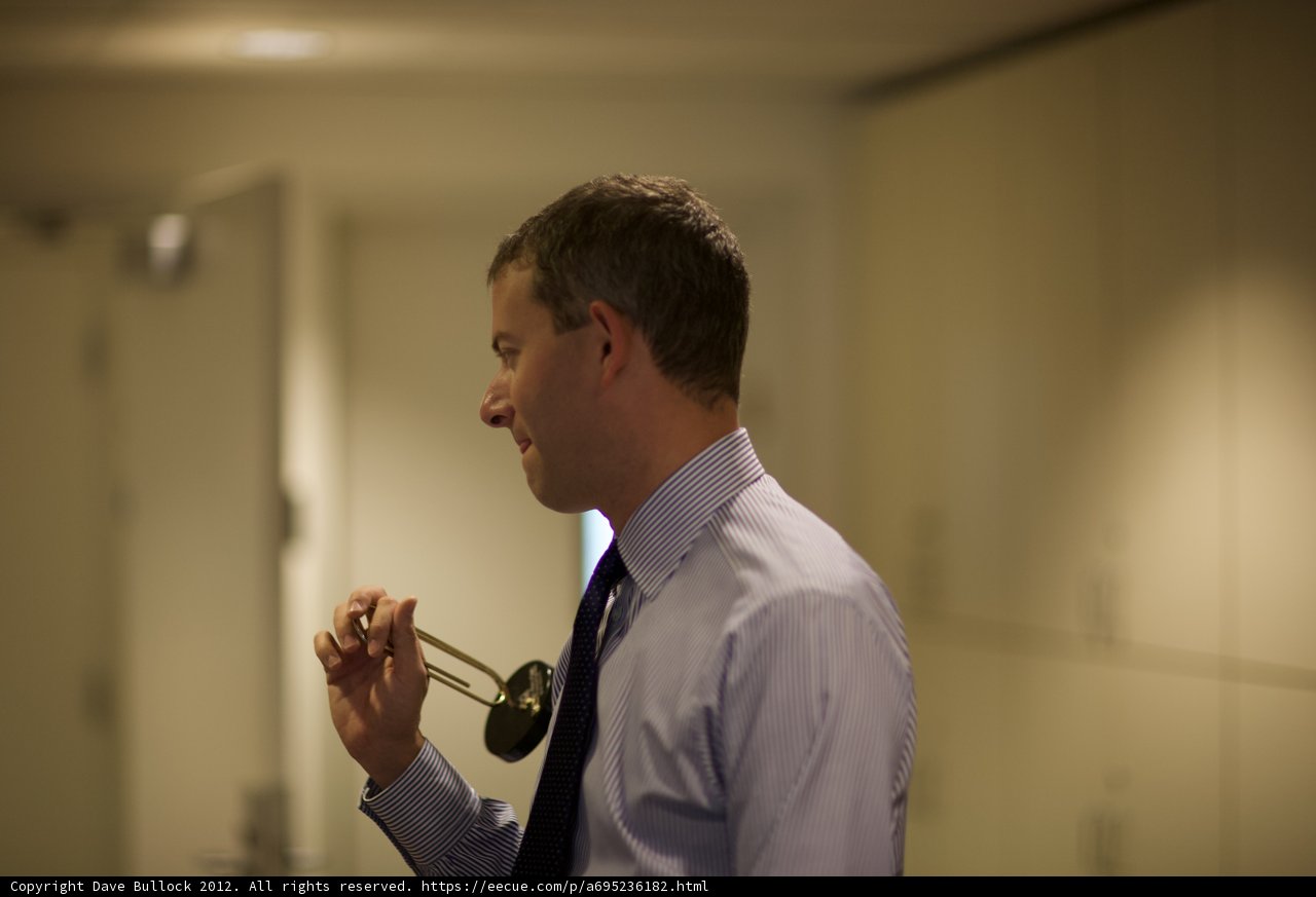 The Professional Doctor