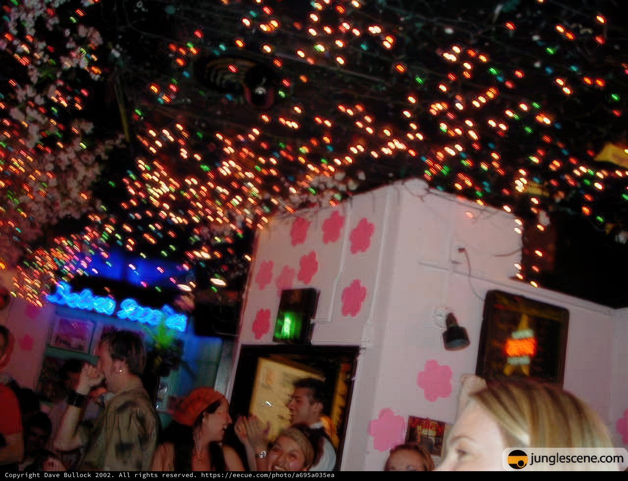 Christmas Nightclub Fun