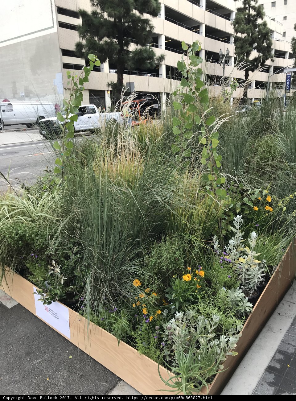 Pottery Planter with a Lively Herb Garden