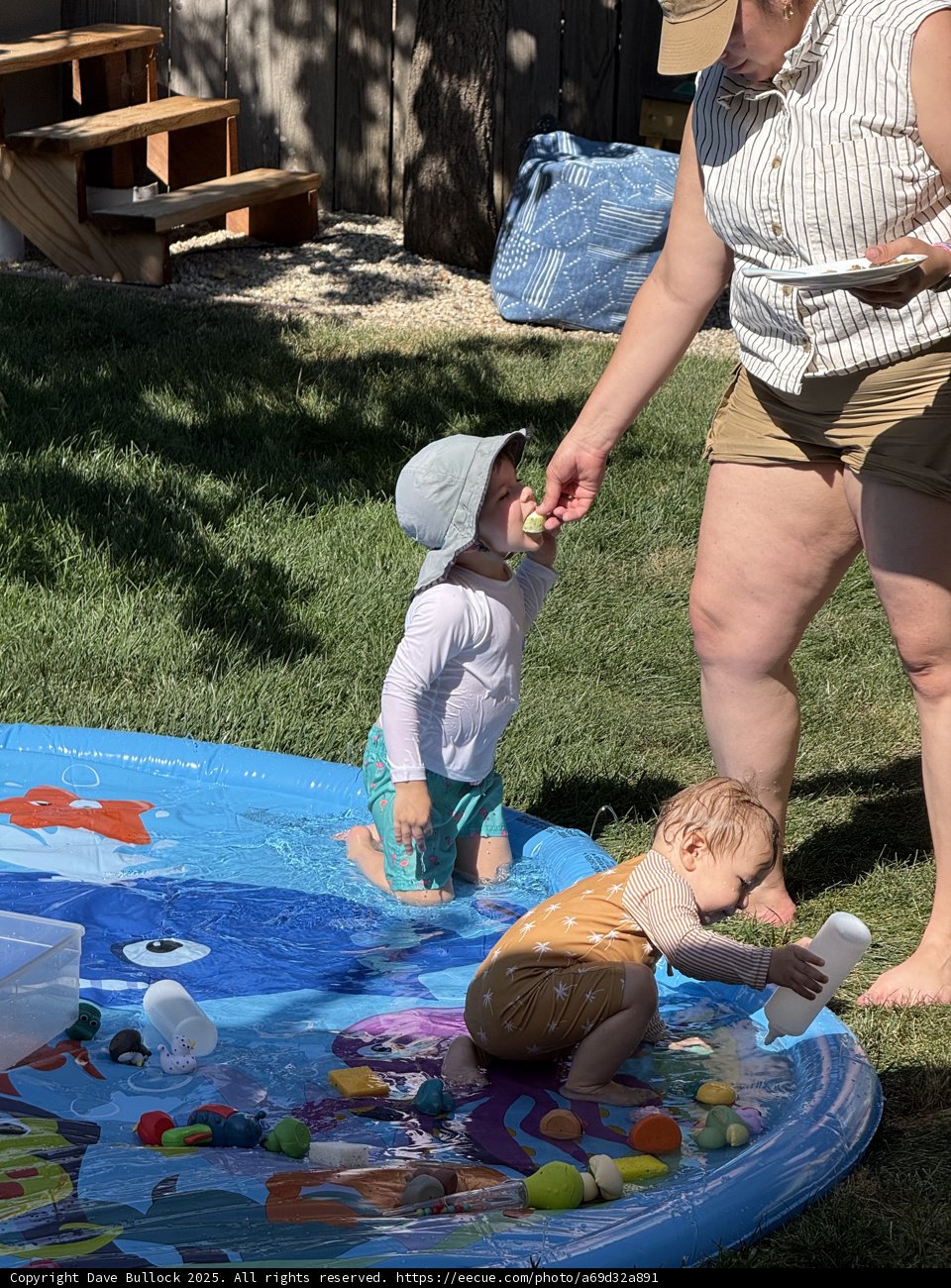 Splashing in the Summer Sun