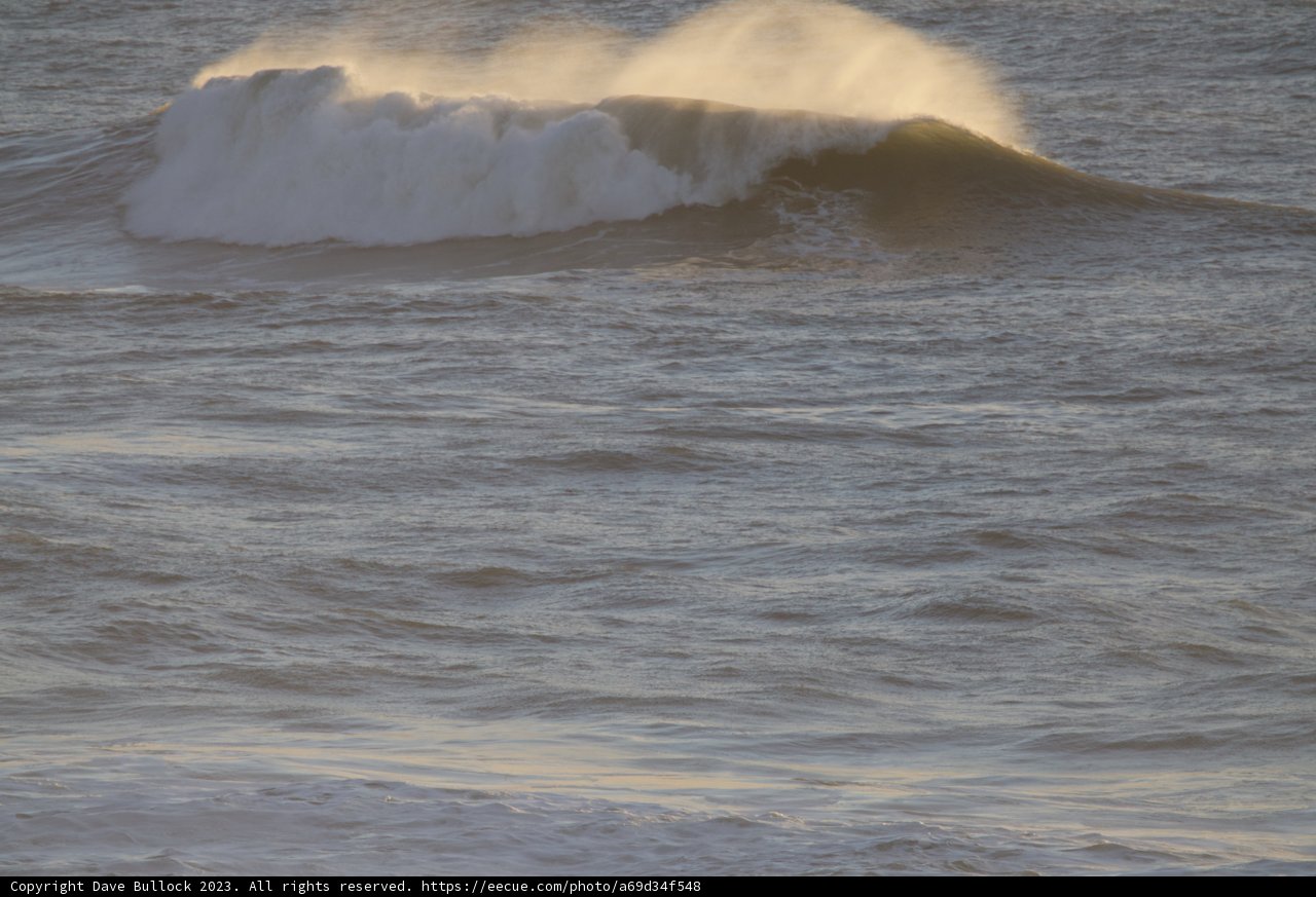 Riding the Crest in the Pacifica Waves, 2023