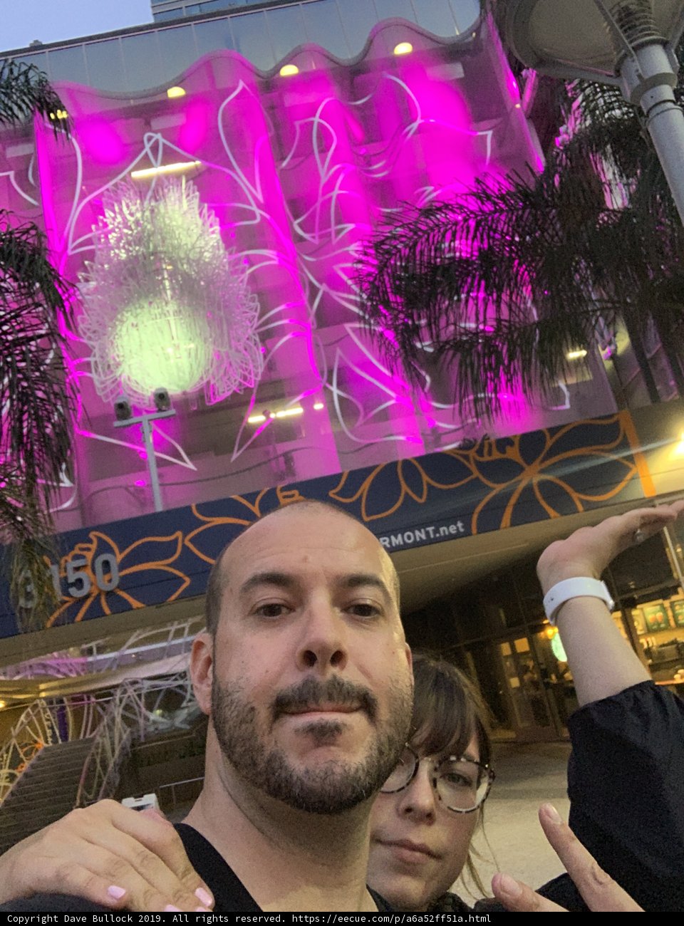 Pink Lights and Urban Nights
