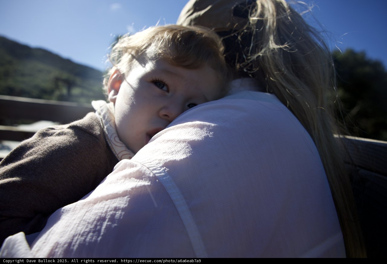 Embrace of Warmth