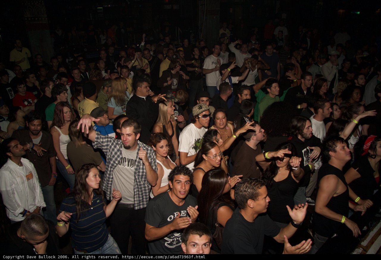 Nightlife Rapture