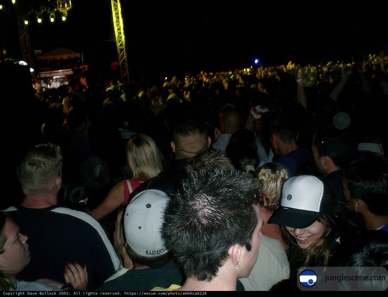 Night-Time Concert Crowd