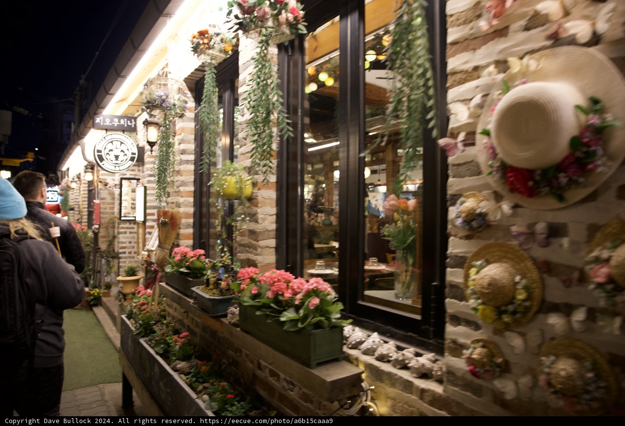 Floral Extravaganza in Korea's Heart