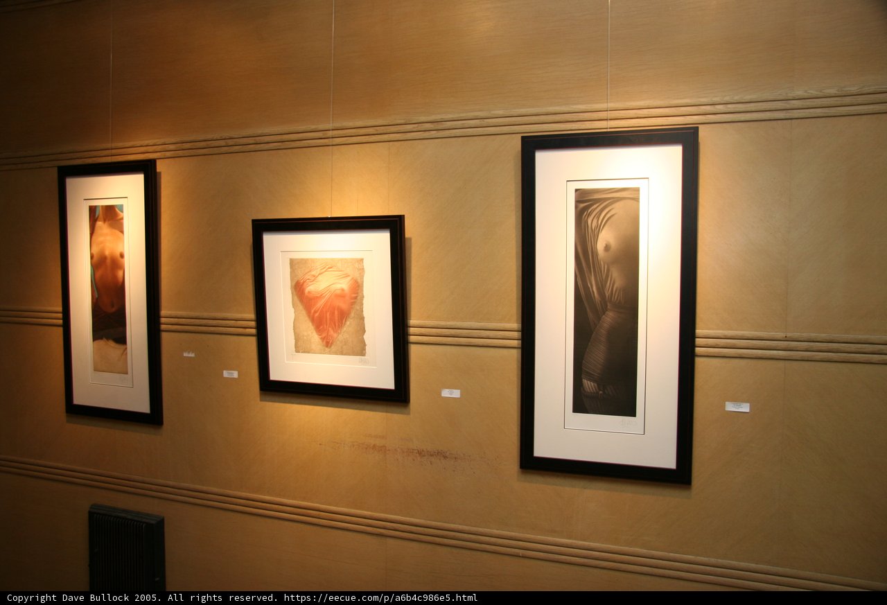 Artistic Triptych