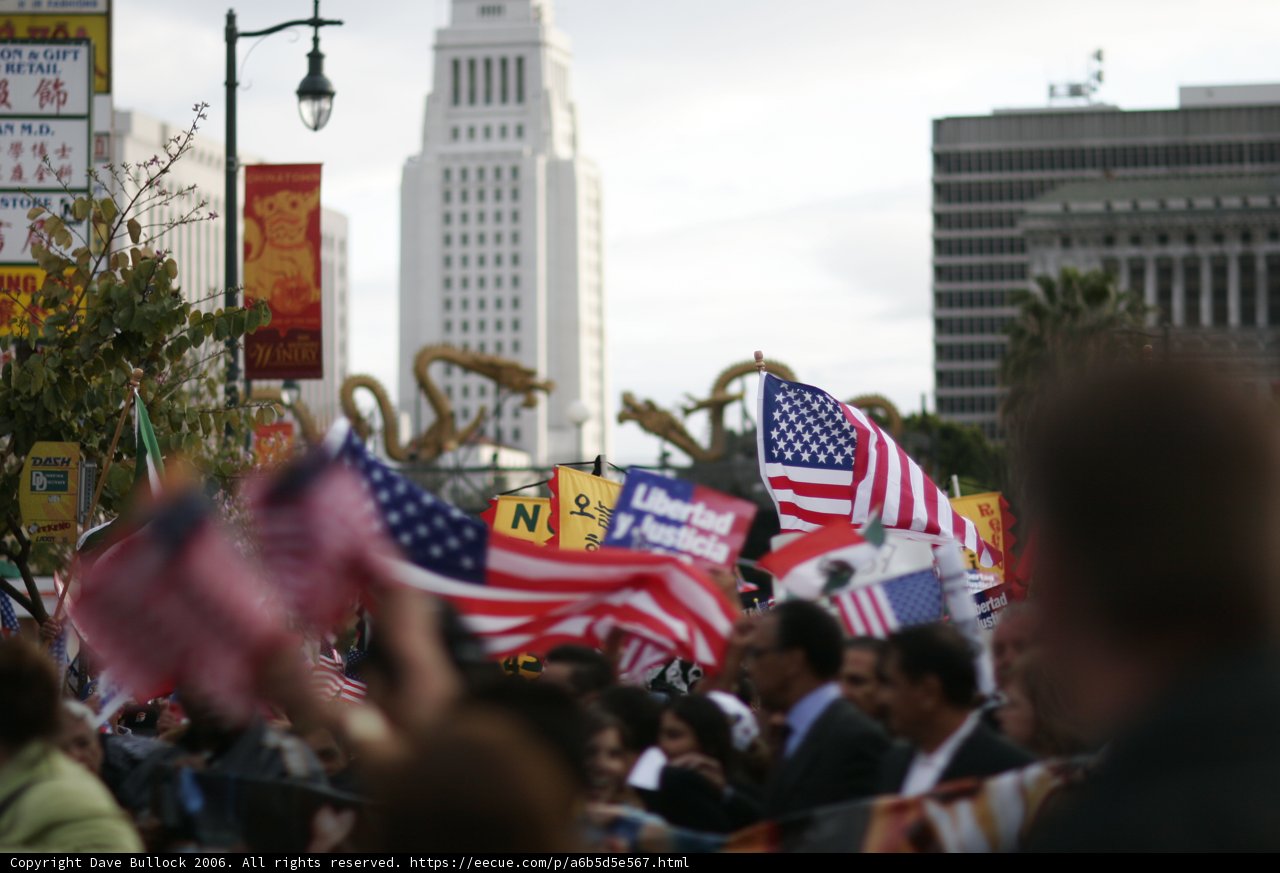 Patriotic Crowd in Metropolis