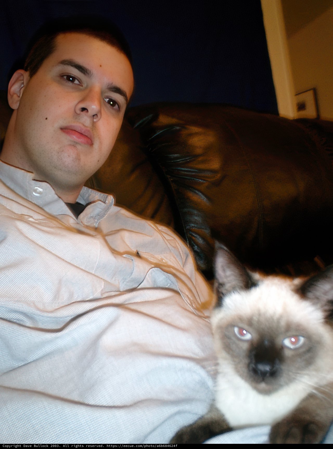 Lounging with my Four-Legged Friends