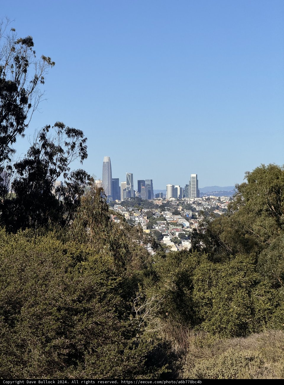 Hillside Haven, Urban Majesty