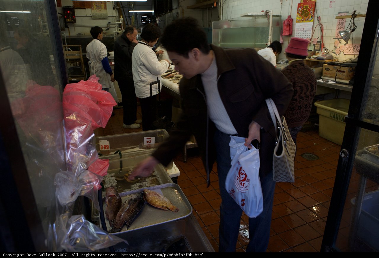 Shopping Spree at Chinatown