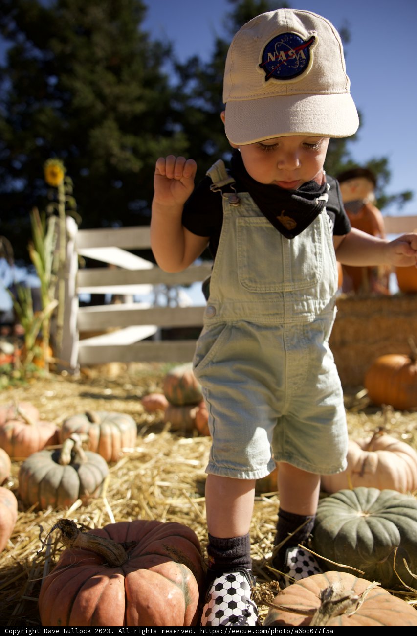 Pumpkin Patch Adventures with Little Wesley