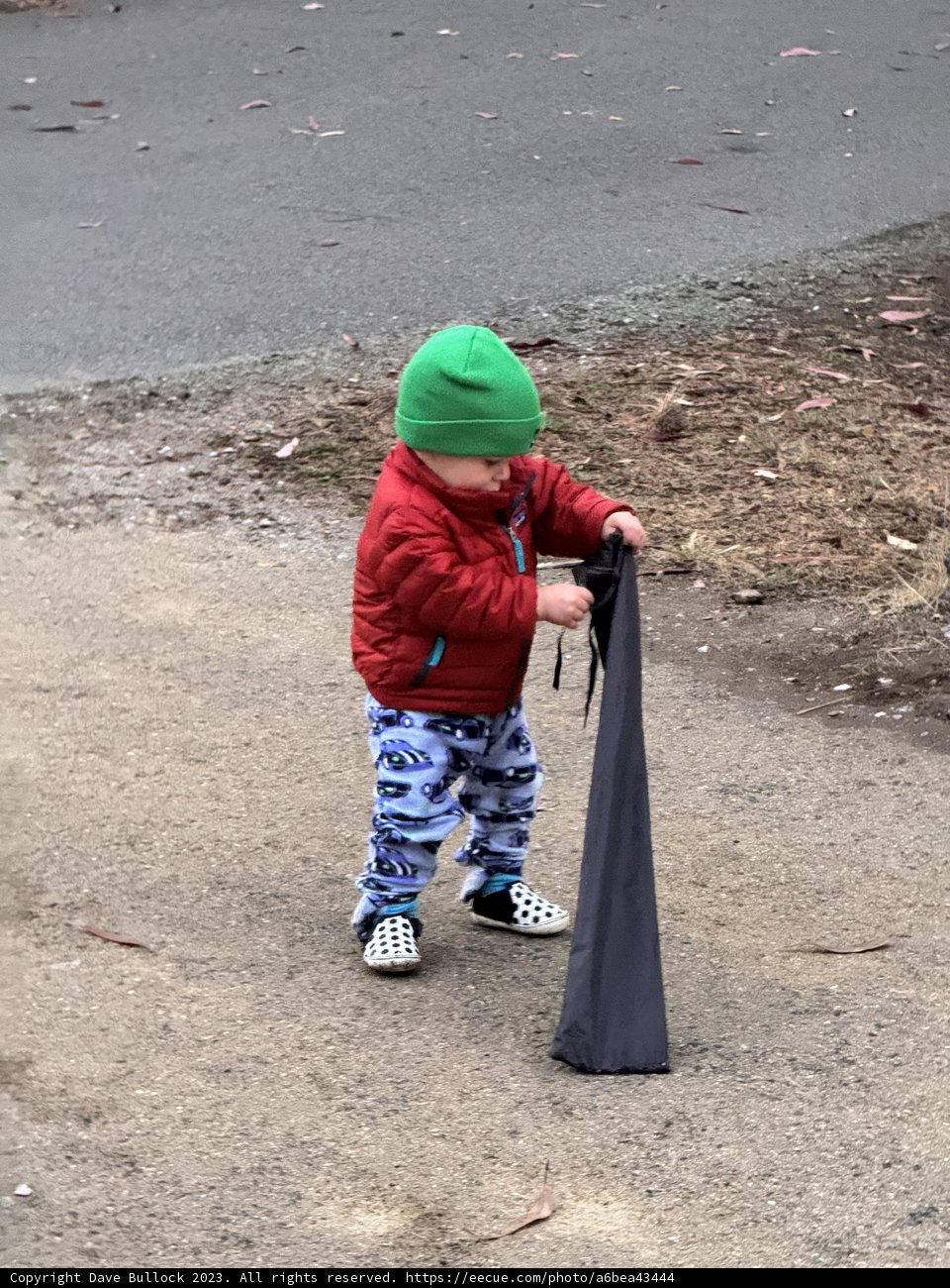 Tiny Explorer's First Rainy Adventures
