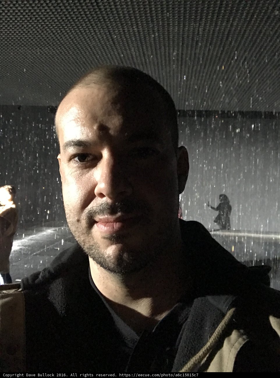 Portrait in the Dark