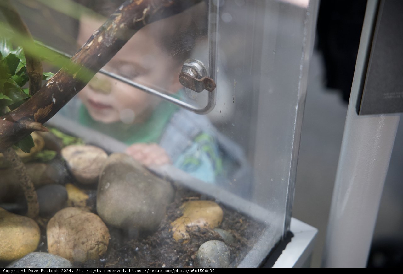 A Little Curiosity