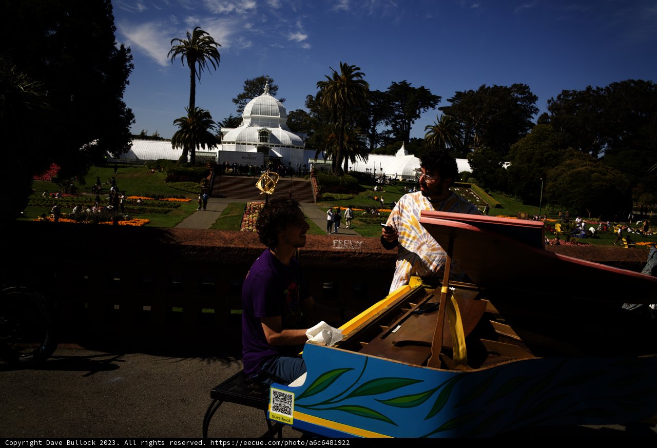 Summer Serenade at Golden Gate Park