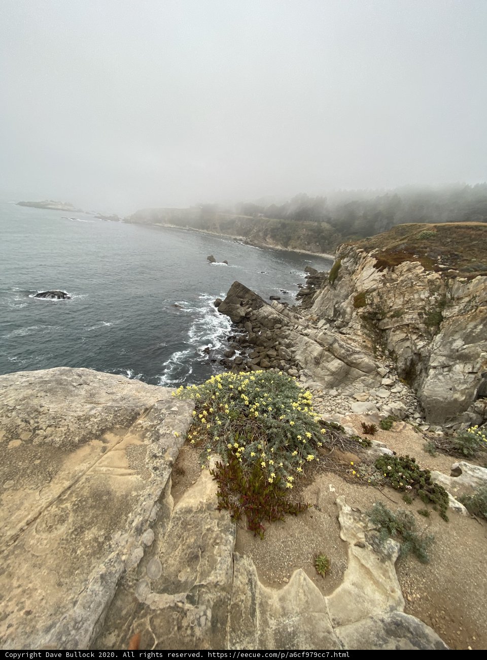 Coastal Scenery at Jenner's Promontory