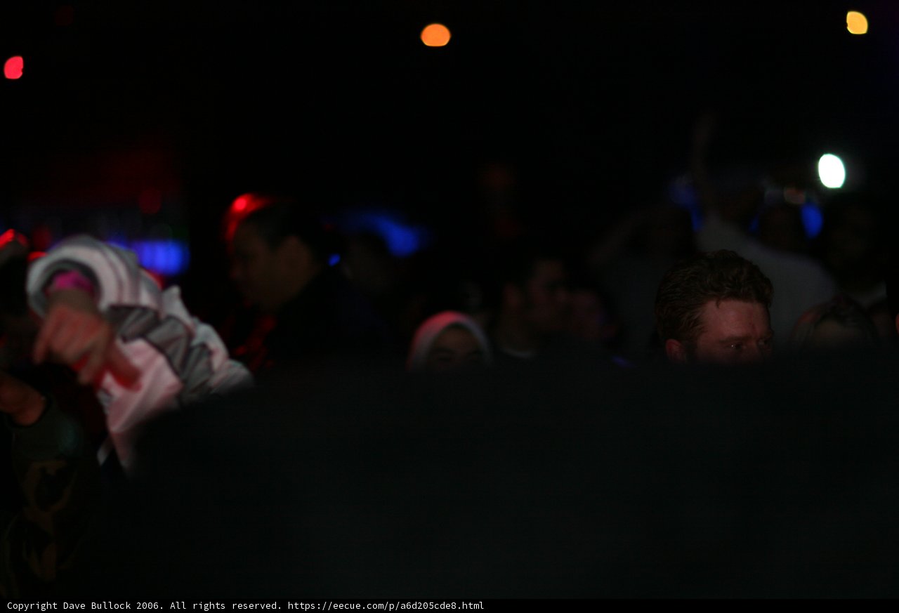 Nightlife Crowd Watching a Performance