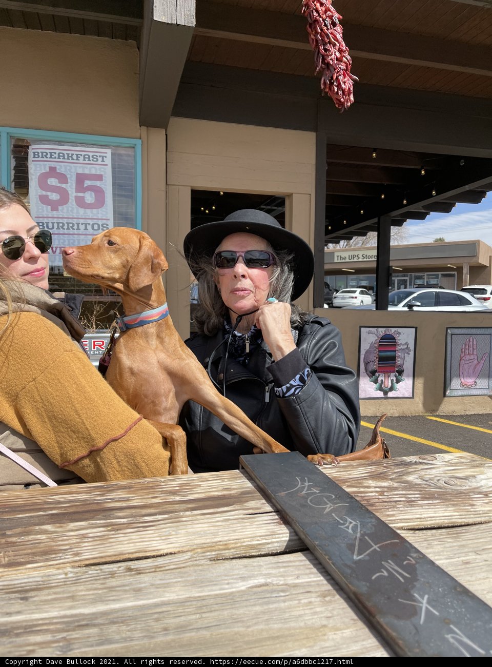 Wooden Table Companions