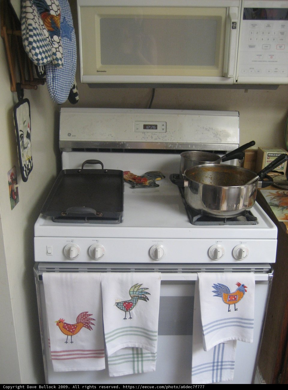 Cooking Essentials in the Kitchen
