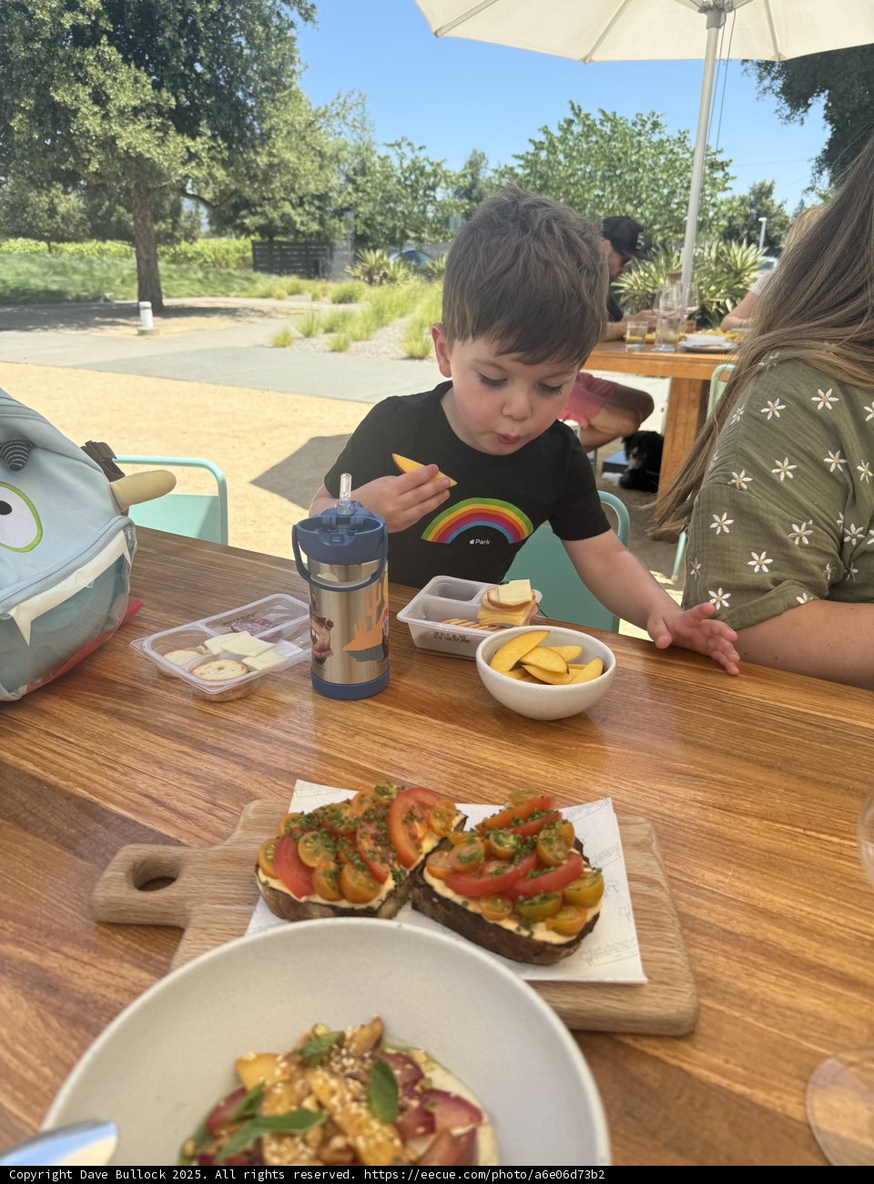 Sunny Day Picnic at Napa