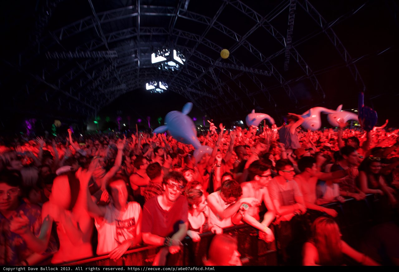 Dolphin Takes Center Stage at Coachella Concert