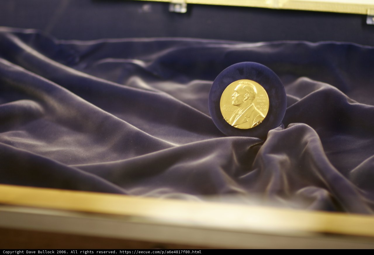 A Glowing Gold Coin in a Glass Case