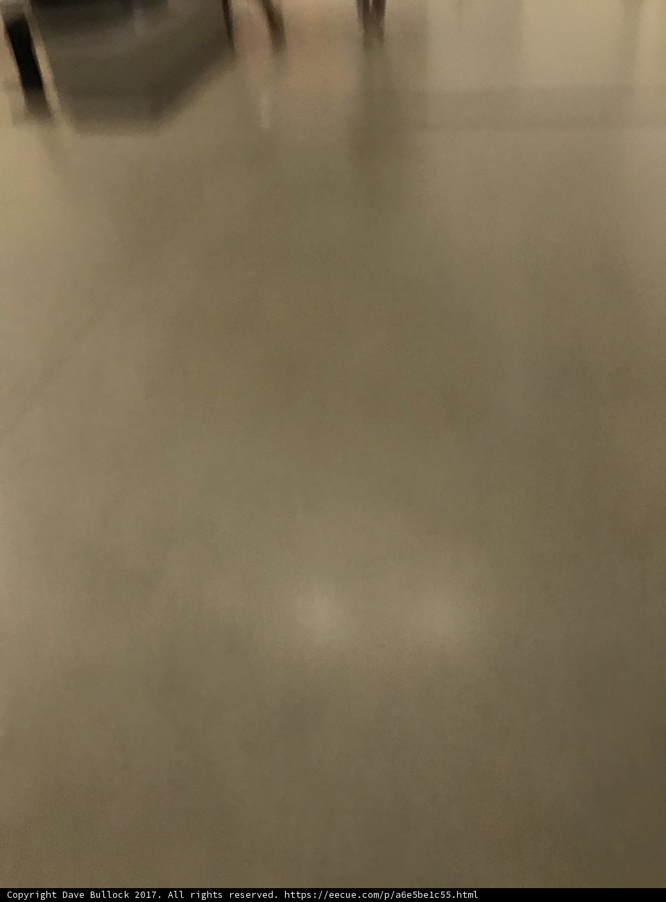 Movement in a White Boarded Room