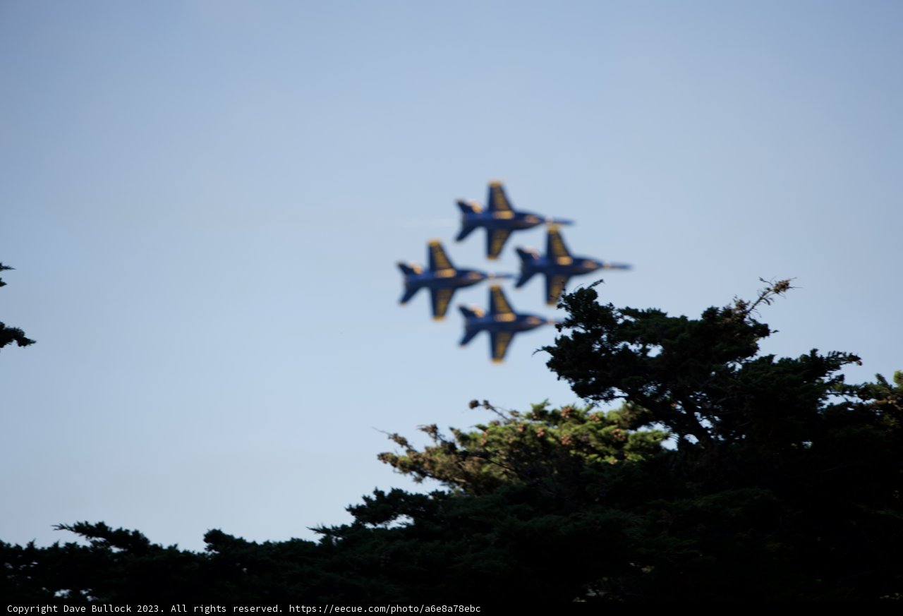 Blue and Yellow Wings Against The Sky