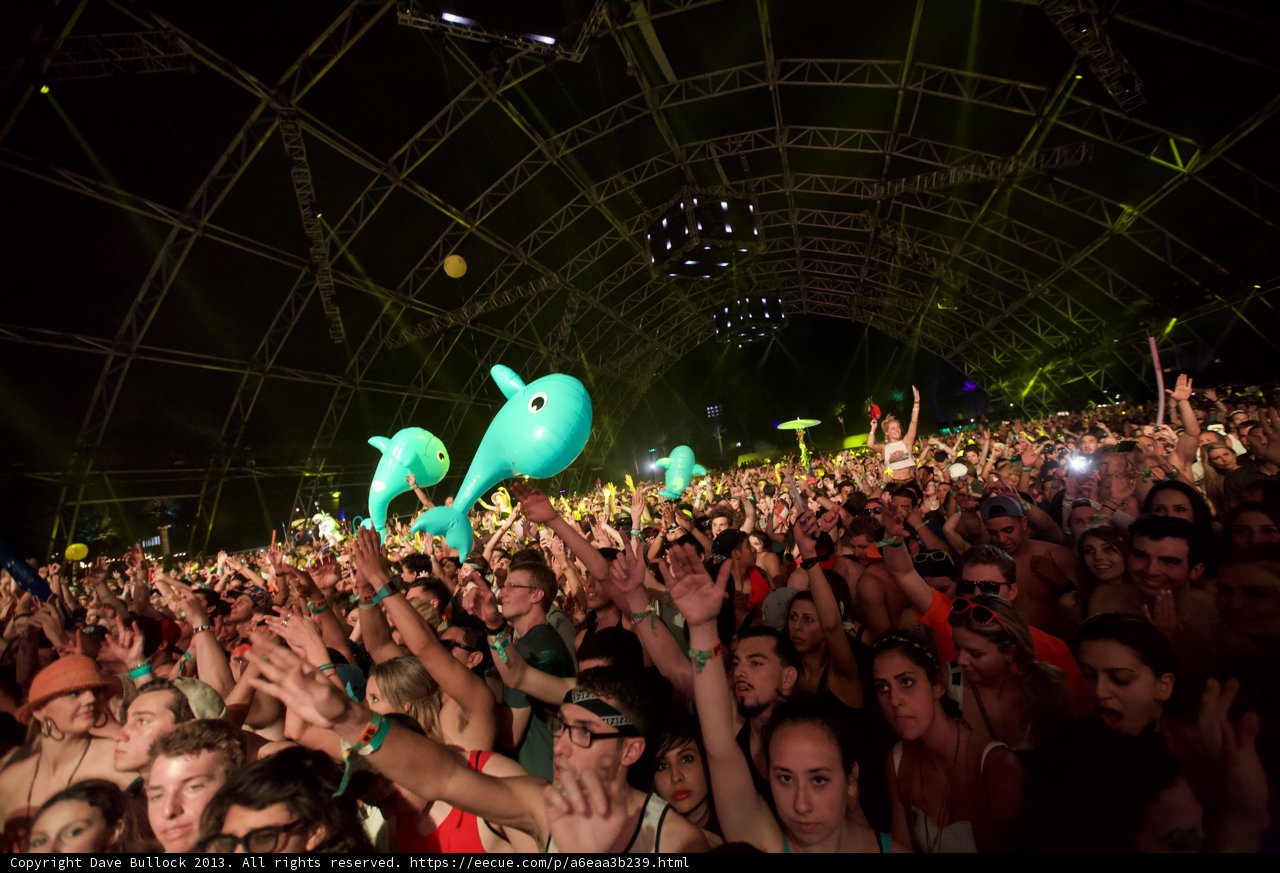 Dolphin Jumps into the Crowd at Coachella