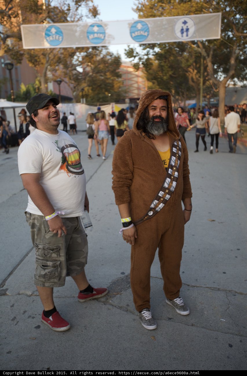 Chewbacca Hood Up