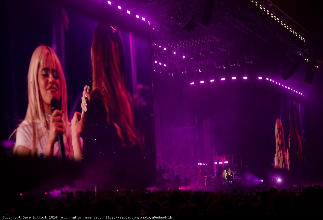 Ethereal Embrace: A Moment at Coachella 2024