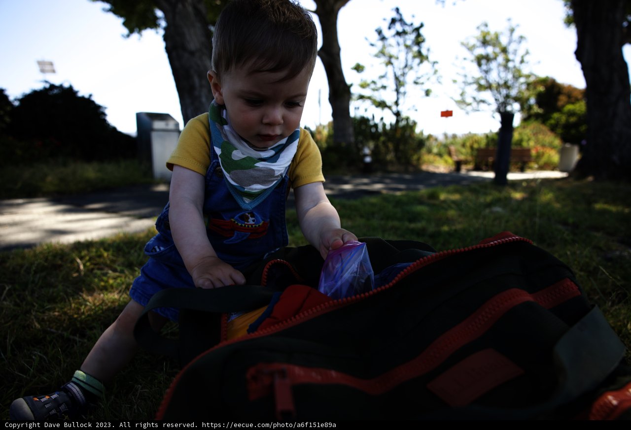 A Summer-Day Adventurer in Millbrae