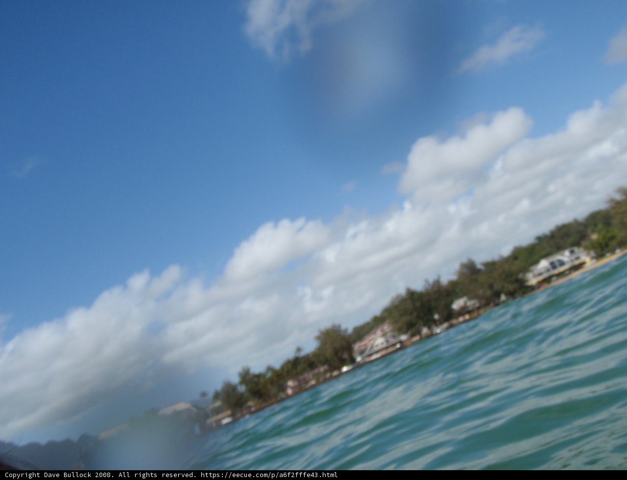 Blurry Surfing Adventure