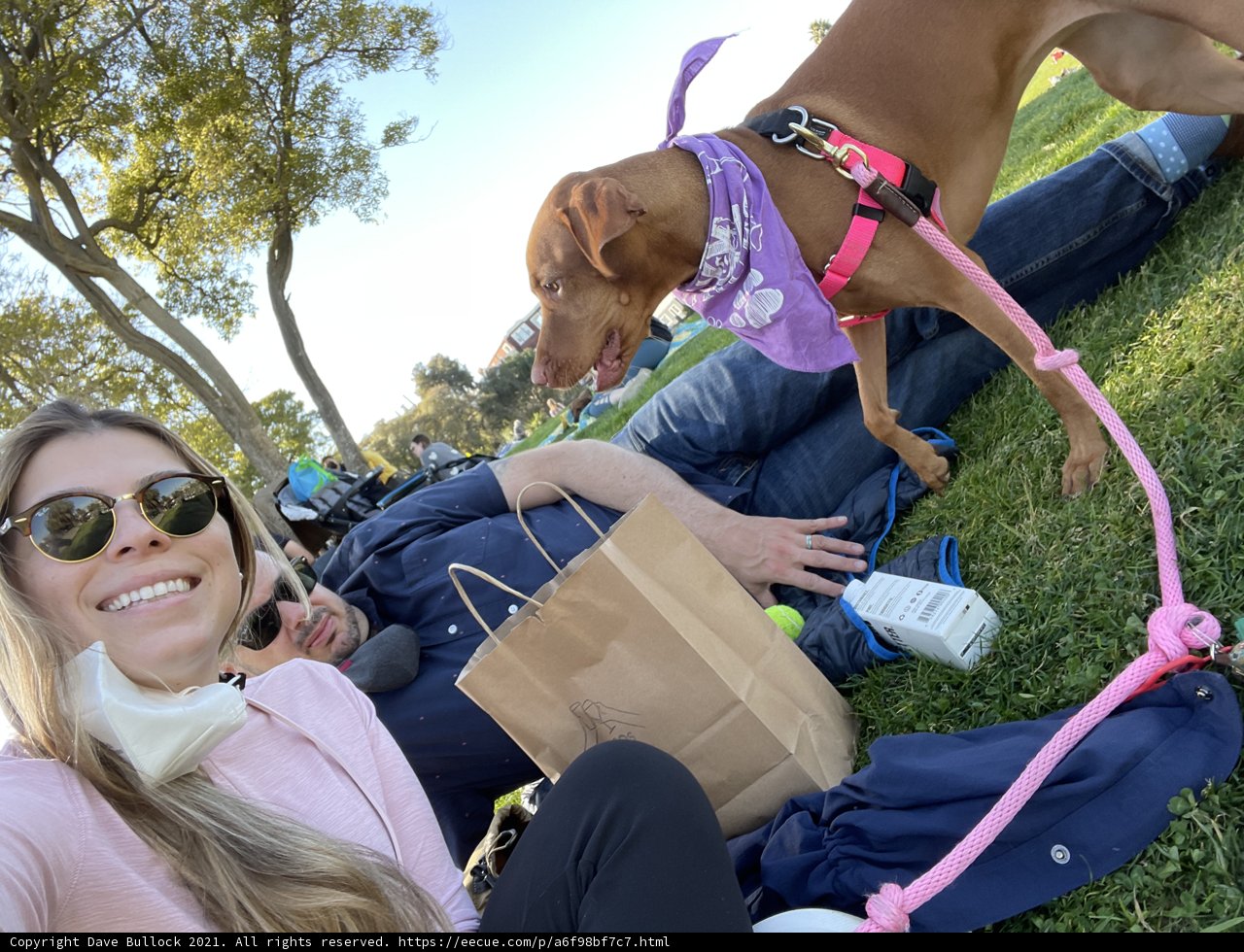 Relaxing at Mission Dolores Park