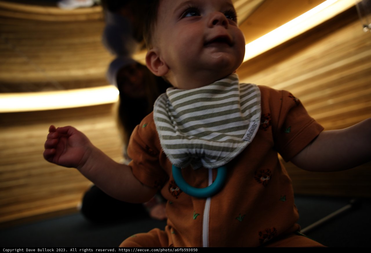 Baby Wesley's Day at the Museum