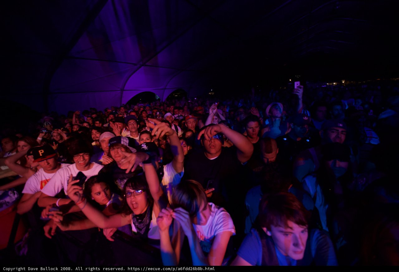 Hands Up in the Crowd