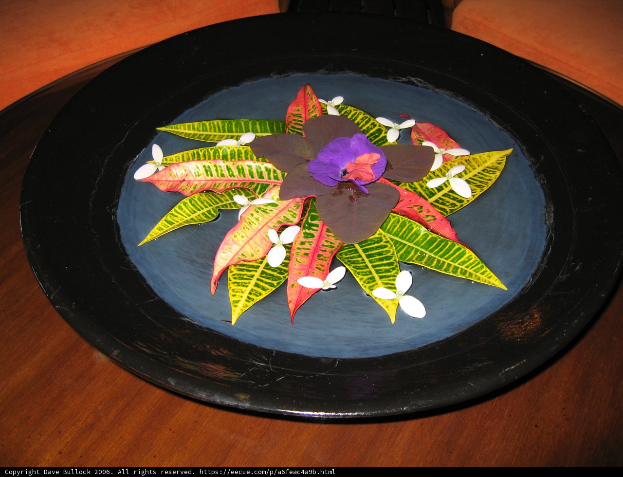 Artful Platter