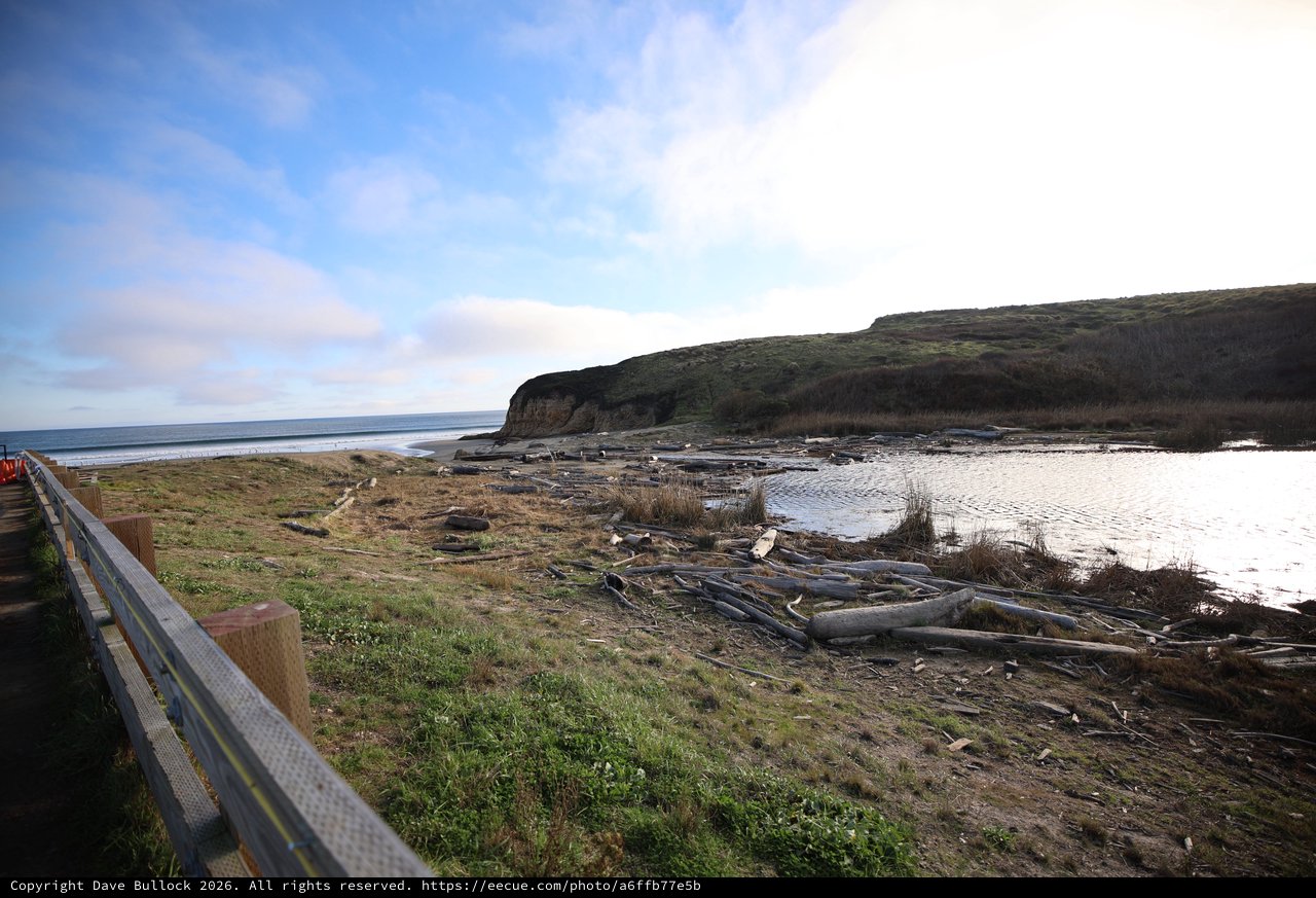Driftwood Strewn Coastline at Drakes Beach